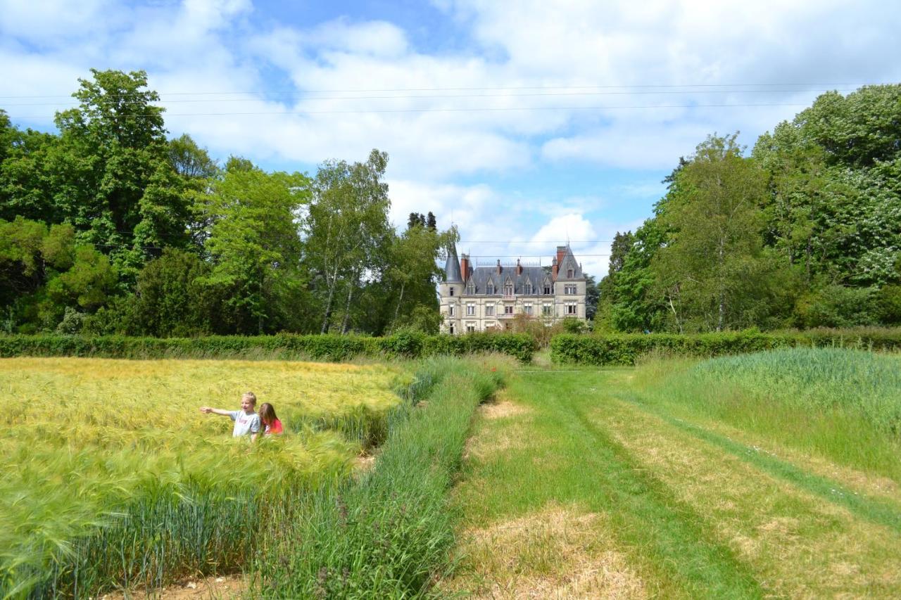 Chateau Le Boisrenault Buzançais Exterior foto